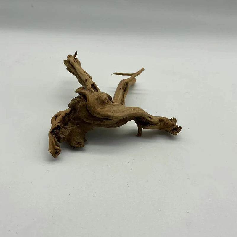 Tronc d'arbre naturel bois flotté Aquarium Aquarium plante bois décoration ornement Aquarium décoration Aquarium accessoires - Animaleriex