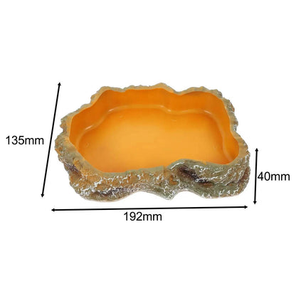Bols d'eau pour reptiles, plaque de Terrarium, mangeoire pour amphibiens, grenouille, caméléon, tortue, Dragon barbu, tortue - Animaleriex
