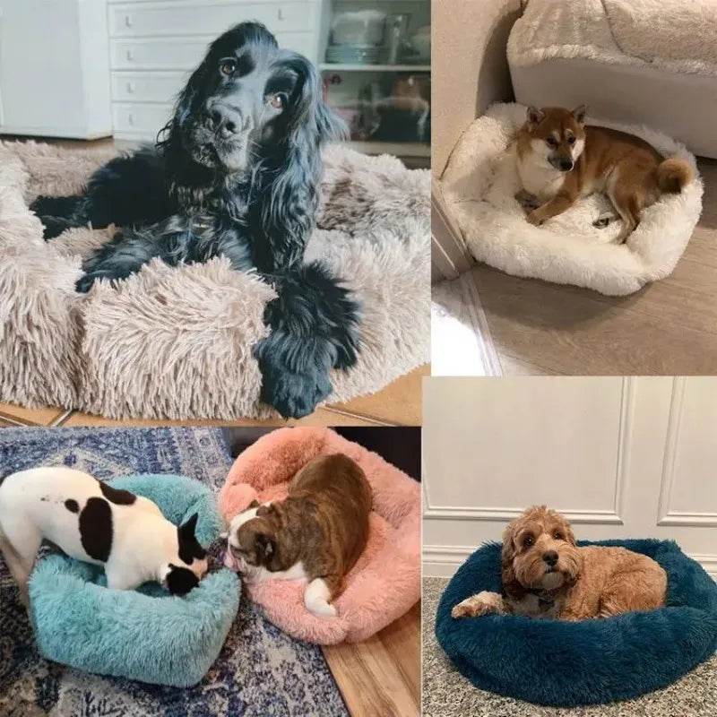Lit rectangulaire en peluche pour chien, tapis chaud d'hiver, petit, moyen et grand animal de compagnie, lit pour chien, chenil, chiot, coussin pour chat, accessoires de canapé - Animaleriex