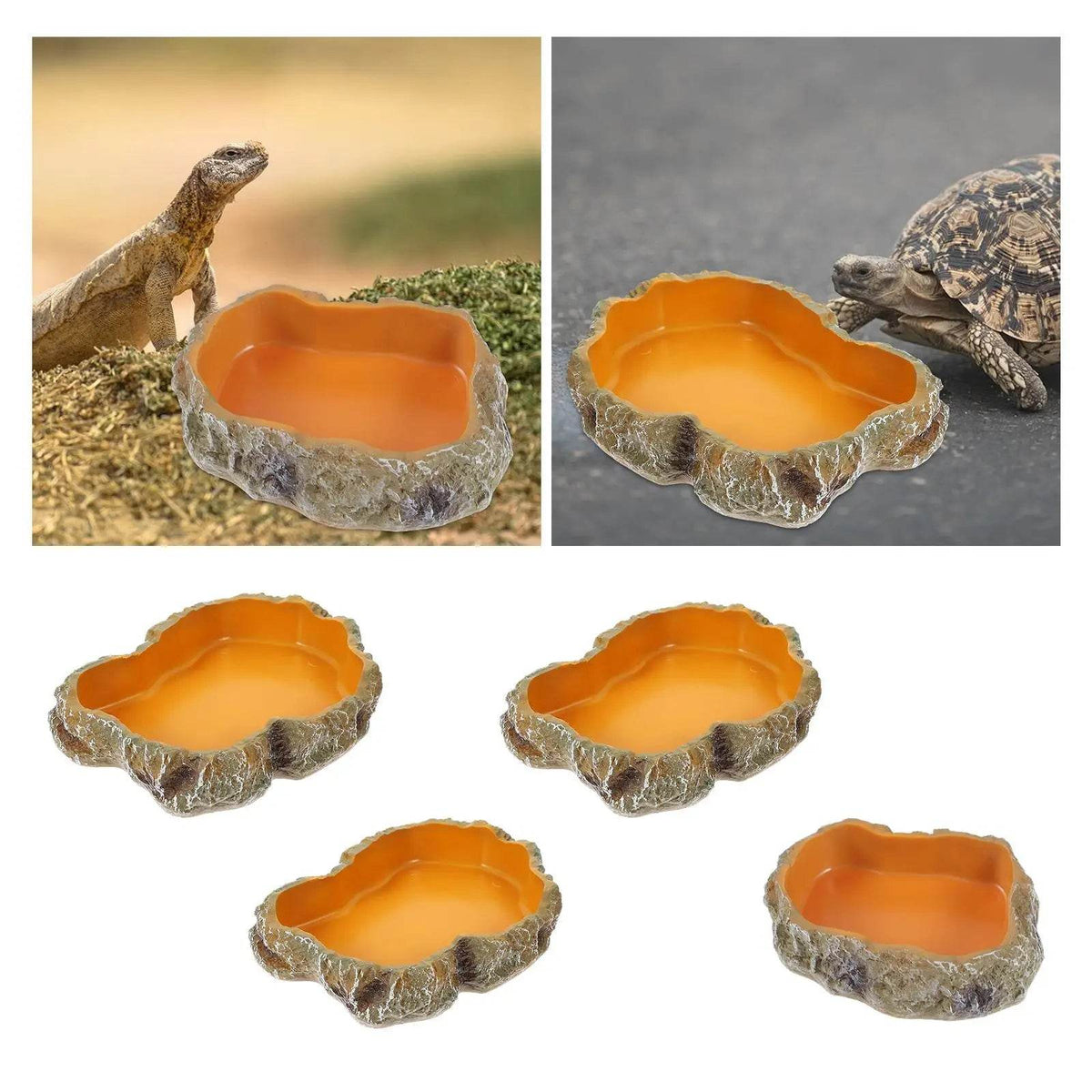 Bols d'eau pour reptiles, plaque de Terrarium, mangeoire pour amphibiens, grenouille, caméléon, tortue, Dragon barbu, tortue - Animaleriex