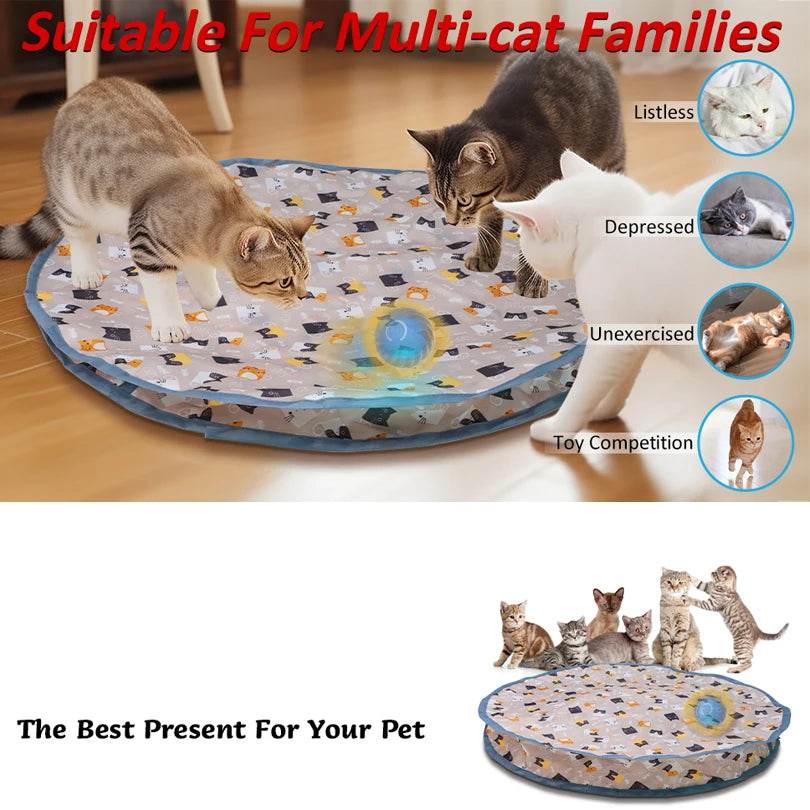Jouets interactifs pour chat, balle à roulement rapide dans une pochette, jouet pour chaton, cache-cache, activé par le mouvement, pour l'intérieur - Animaleriex