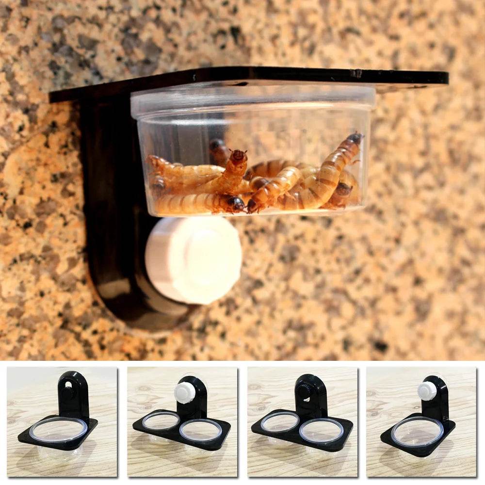 Réservoir d'alimentation en eau pour reptiles, 1 pièce, réservoir d'insectes, d'araignées, de fourmis, de serpent, Gecko, bol d'alimentation en eau, boîte d'alimentation d'élevage, fournitures pour animaux de compagnie - Animaleriex