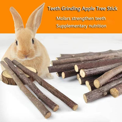 Professionnel Hamster lapin dents meulage pommier bâton minéraux molaire pierre jouets pour Chinchilla Hamster PetToys accessoires - Animaleriex