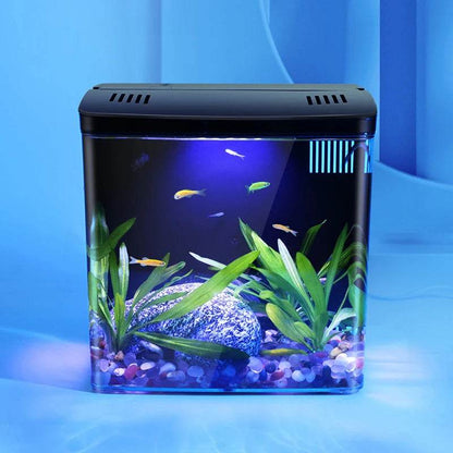 Réservoir de poissons de salon, petit mini réservoir Douyu, réservoir écologique de table domestique, filtre arrière à circulation automatique, réservoir de poissons rouges - Animaleriex