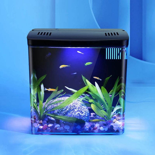 Réservoir de poissons de salon, petit mini réservoir Douyu, réservoir écologique de table domestique, filtre arrière à circulation automatique, réservoir de poissons rouges - Animaleriex