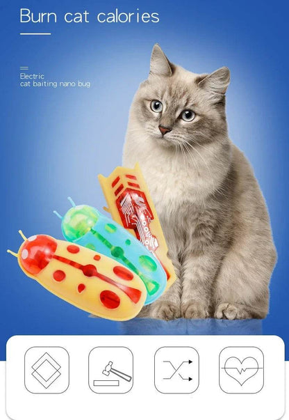 Insectes électriques amusants, jouet herbe-aux-chats, Tunnel automatique, Mini Robot, Vibration, jouets insectes pour chats, à piles, cafard, coccinelle - Animaleriex