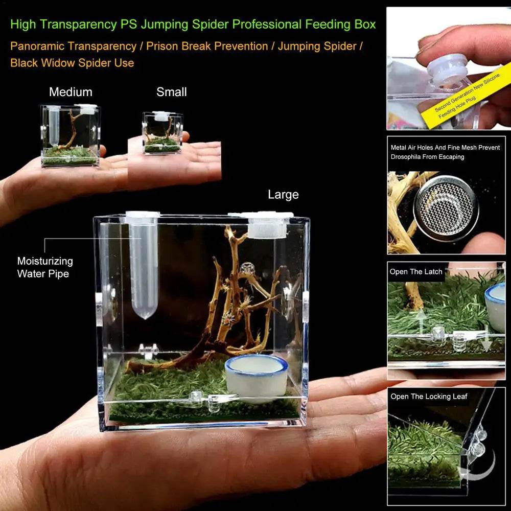 Boîte d'élevage de Reptiles, Cage en acrylique transparent, boîte d'alimentation pour insectes, réservoir de Terrarium anti-fuite pour araignée sautante, 3 tailles - Animaleriex