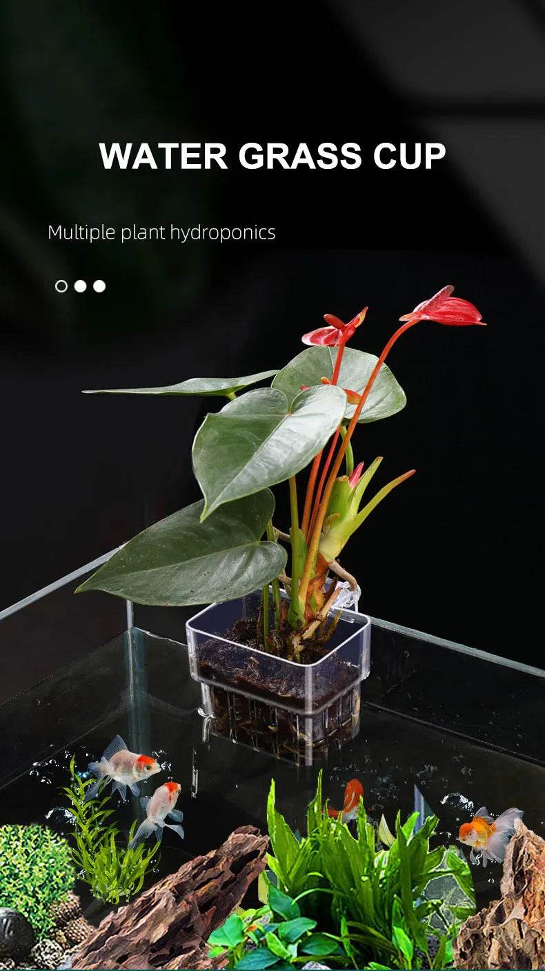Bulles de poisson, tasse d'herbe d'eau d'aquarium, panier de plantation hydroponique pour plantes multiples, pour paysage d'aquarium - Animaleriex
