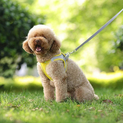 Ensemble de laisse de harnais pour chien pour petits chiens, harnais réglable pour chiot et chat, gilet bouledogue français, Chihuahua, carlin, laisse de marche en plein air - Animaleriex