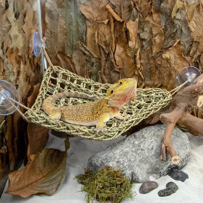 Hamac Dragon barbu pour reptiles, chaise longue pour caméléon, lézards, Gecko, serpents, Lguana, coussin d'herbe, balançoire pour animal de compagnie - Animaleriex