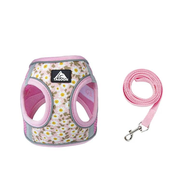 Harnais et laisse en maille de Nylon pour chat, respirant, pour chaton, petit chien, chiot, bouledogue français, Chihuahua, carlin - Animaleriex
