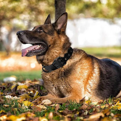 Harnais tactique pour chien, gilet d'entraînement pour animaux de compagnie, harnais militaire pour chien, collier de laisse pour petits, moyens et grands chiens, marche et chasse - Animaleriex