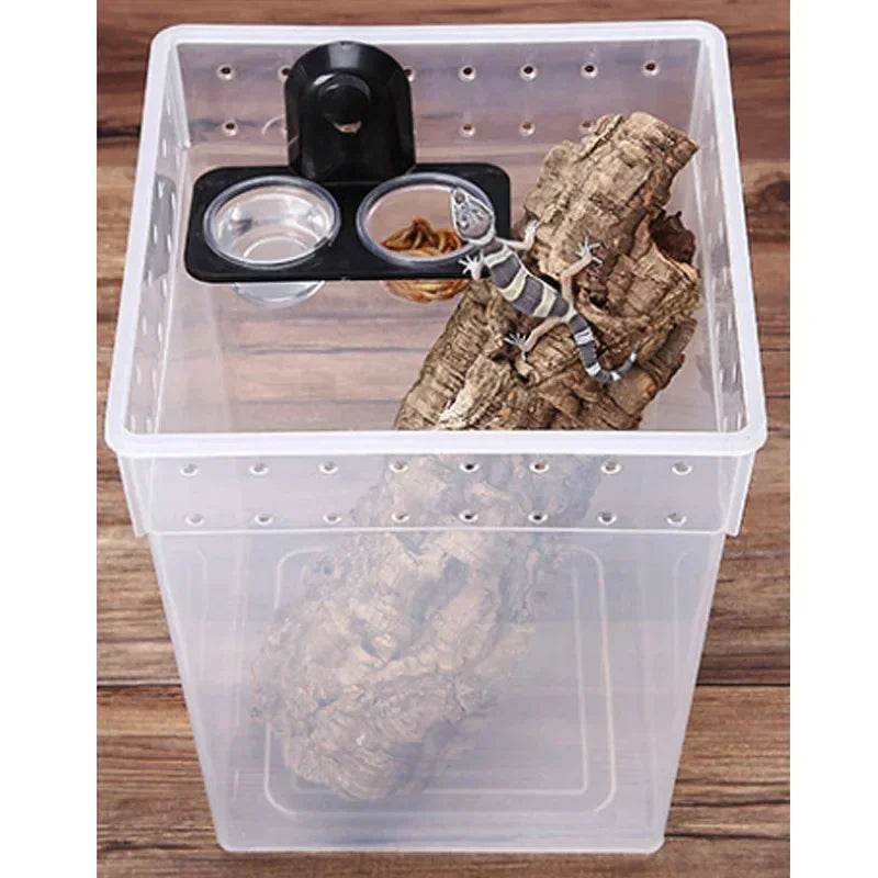 Reptiles et amphibiens lézard Gecko ventouse bols d'alimentation récipient de nourriture avec bol pour l'alimentation de la nourriture et de l'eau des reptiles - Animaleriex