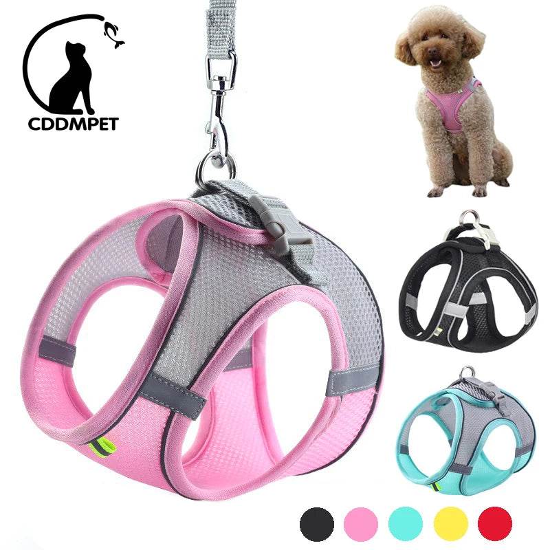 Ensemble de laisse de harnais pour chien pour petits chiens, harnais réglable pour chiot et chat, gilet bouledogue français, Chihuahua, carlin, laisse de marche en plein air - Animaleriex