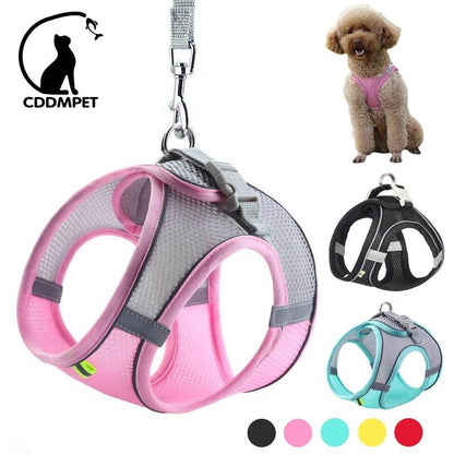 Ensemble de laisse de harnais pour chien pour petits chiens, harnais réglable pour chiot et chat, gilet bouledogue français, Chihuahua, carlin, laisse de marche en plein air - Animaleriex