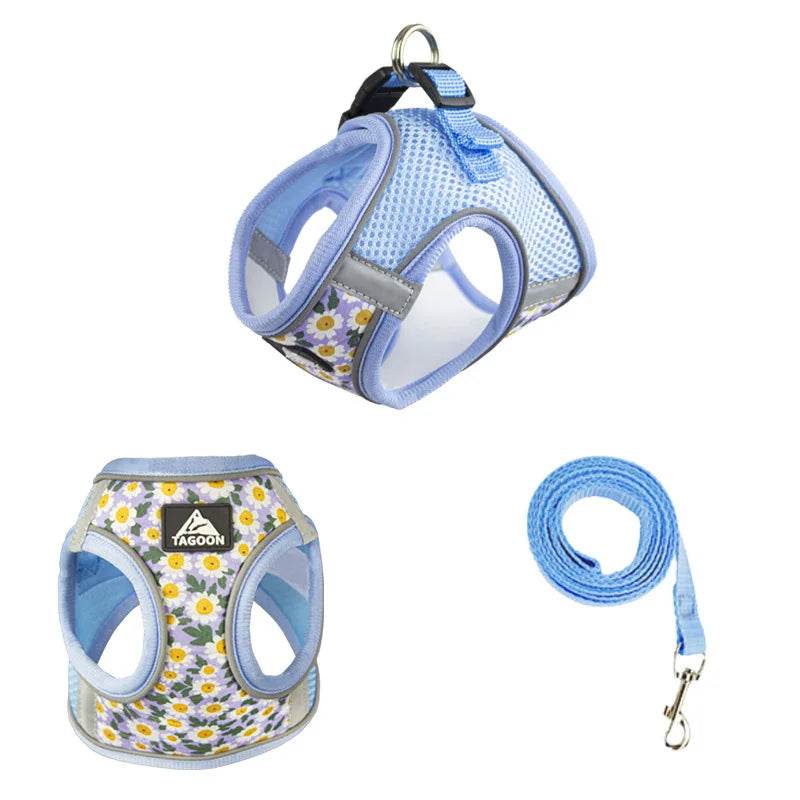 Harnais et laisse en maille de Nylon pour chat, respirant, pour chaton, petit chien, chiot, bouledogue français, Chihuahua, carlin - Animaleriex