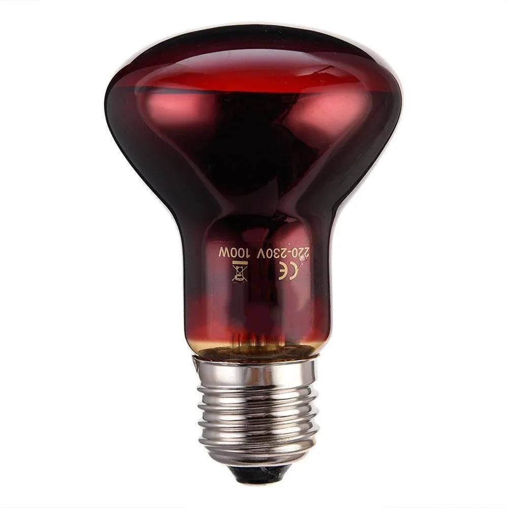 Lampe chauffante rouge amphibie UVA 220V, 25/40/50/60/75/100W, lampe infrarouge, ampoule en verre, accessoires pour Reptiles, serpents, lézards - Animaleriex