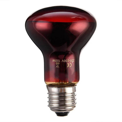 Lampe chauffante rouge amphibie UVA 220V, 25/40/50/60/75/100W, lampe infrarouge, ampoule en verre, accessoires pour Reptiles, serpents, lézards - Animaleriex