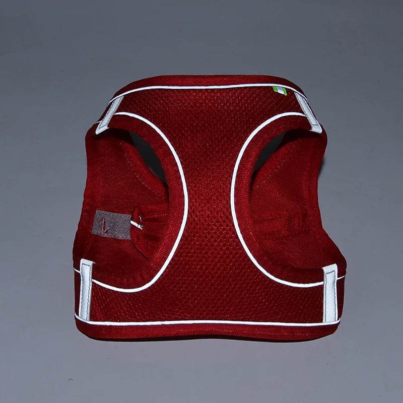 Ensemble de laisse de harnais pour chien pour petits chiens, harnais réglable pour chiot et chat, gilet bouledogue français, Chihuahua, carlin, laisse de marche en plein air - Animaleriex
