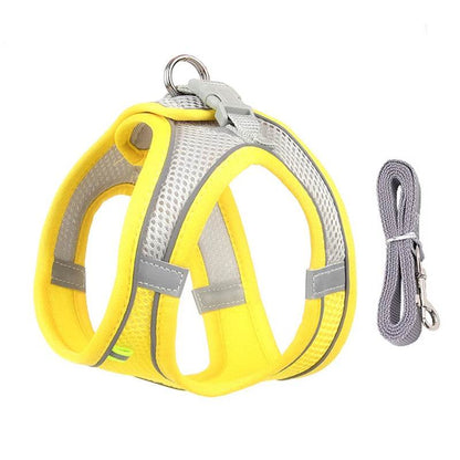 Ensemble de laisse de harnais pour chien pour petits chiens, harnais réglable pour chiot et chat, gilet bouledogue français, Chihuahua, carlin, laisse de marche en plein air - Animaleriex