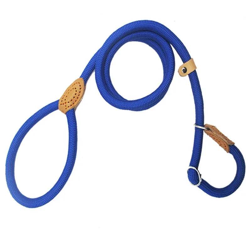 Laisse pour chien, corde coulissante, laisse en plomb, corde tressée robuste, collier à boucle réglable, laisse d'entraînement pour chiens de taille moyenne et grande - Animaleriex