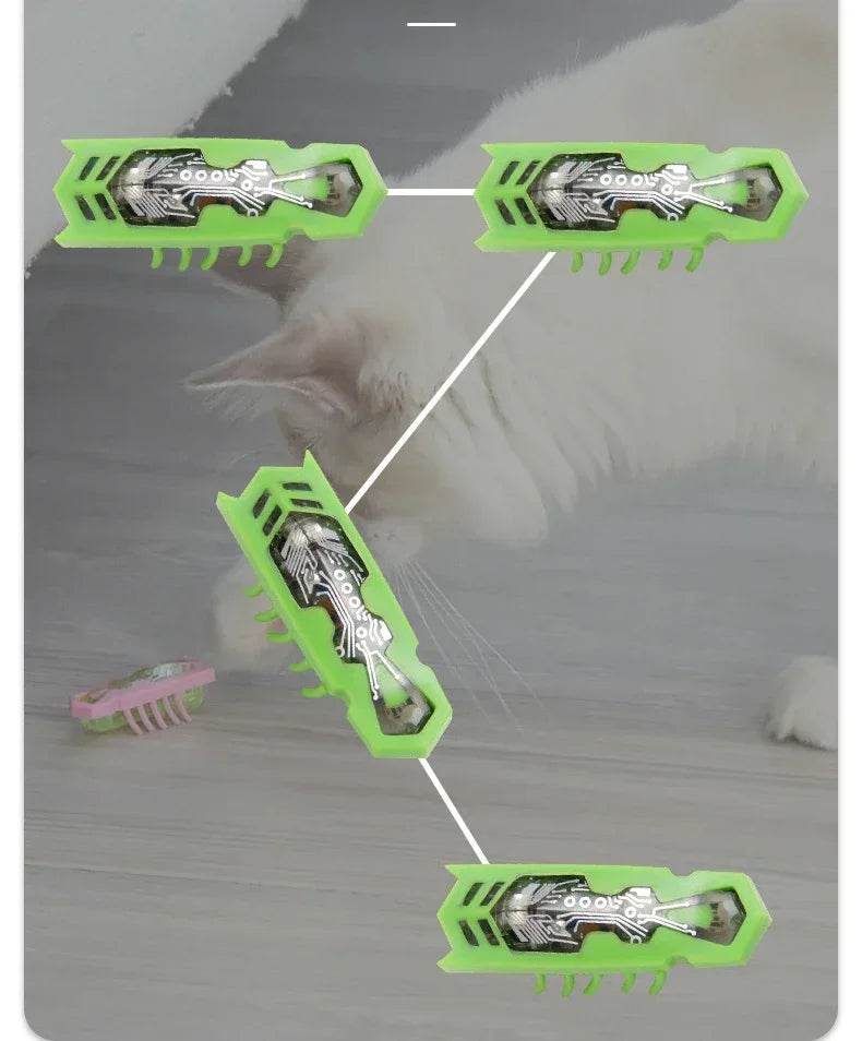 Insectes électriques amusants, jouet herbe-aux-chats, Tunnel automatique, Mini Robot, Vibration, jouets insectes pour chats, à piles, cafard, coccinelle - Animaleriex