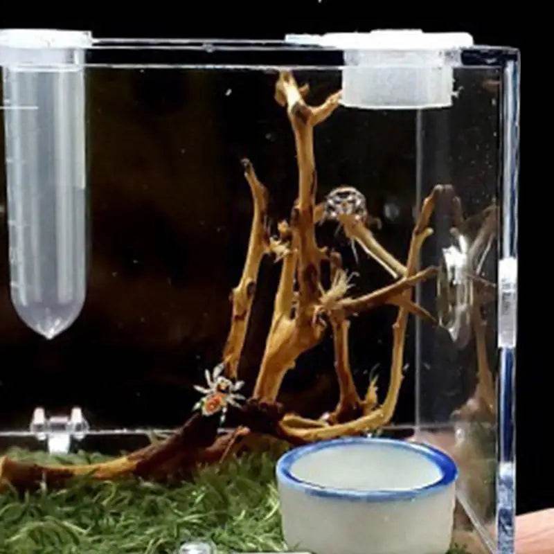 Boîte d'élevage de Reptiles, Cage en acrylique transparent, boîte d'alimentation pour insectes, réservoir de Terrarium anti-fuite pour araignée sautante, 3 tailles - Animaleriex