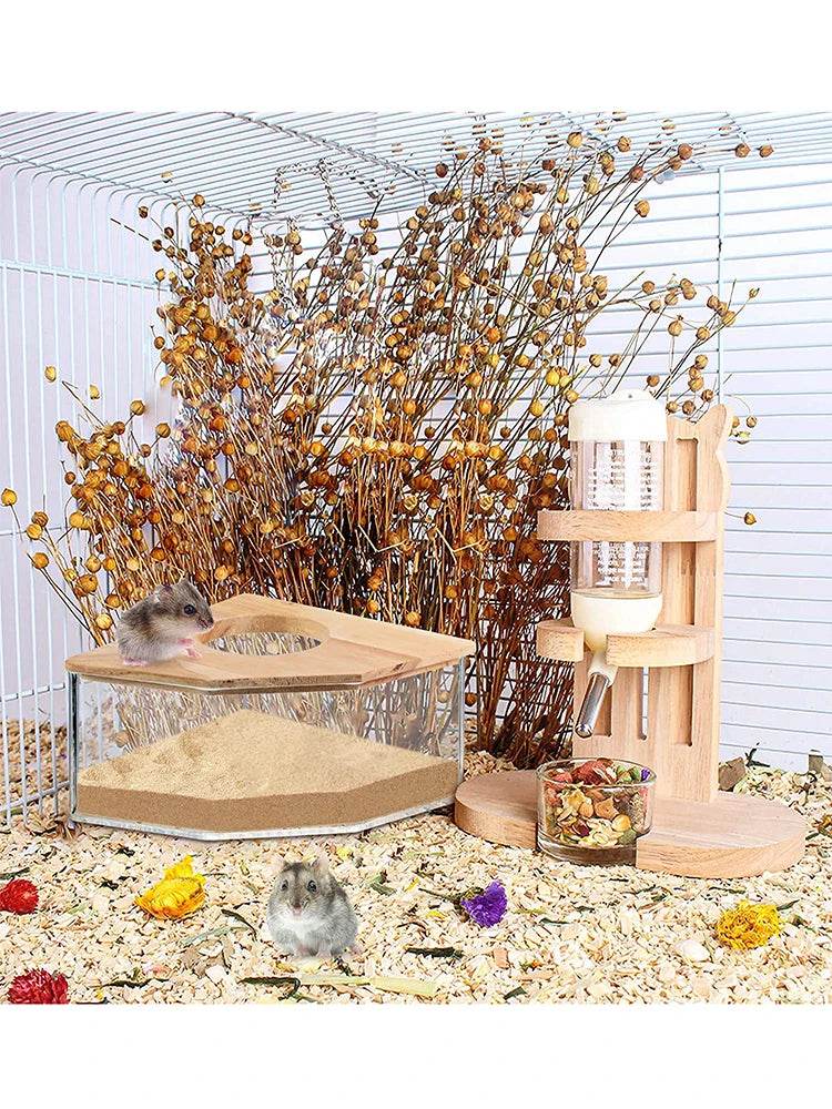 Hamster salle de bain maison bac à sable entièrement Transparent Urine sable bassin ours doré fournitures sable bain conteneur petite salle de bain pour animaux de compagnie - Animaleriex