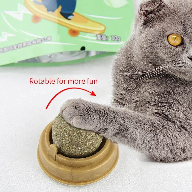 Poste à gratter naturel en herbe à chat, grattoir pour chat, autocollant mural, boule, jouet, produits pour animaux de compagnie, jouets thérapeutiques sains, maison - Animaleriex