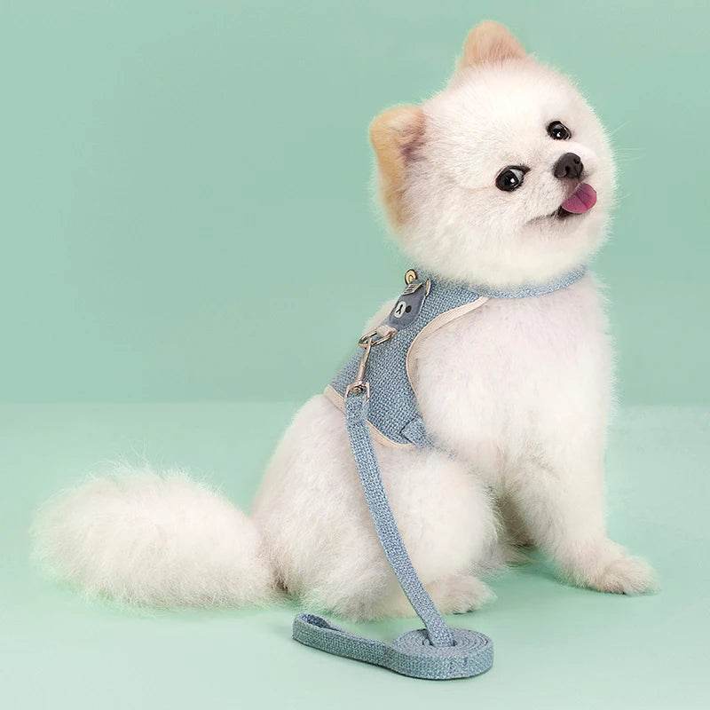 Ensemble de laisse de harnais pour animaux de compagnie, mignon, pour petits chiens de taille moyenne, chat, laisse de marche, Chihuahua, lapin, gilet, harnais, collier de caniche, accessoires pour chiens - Animaleriex