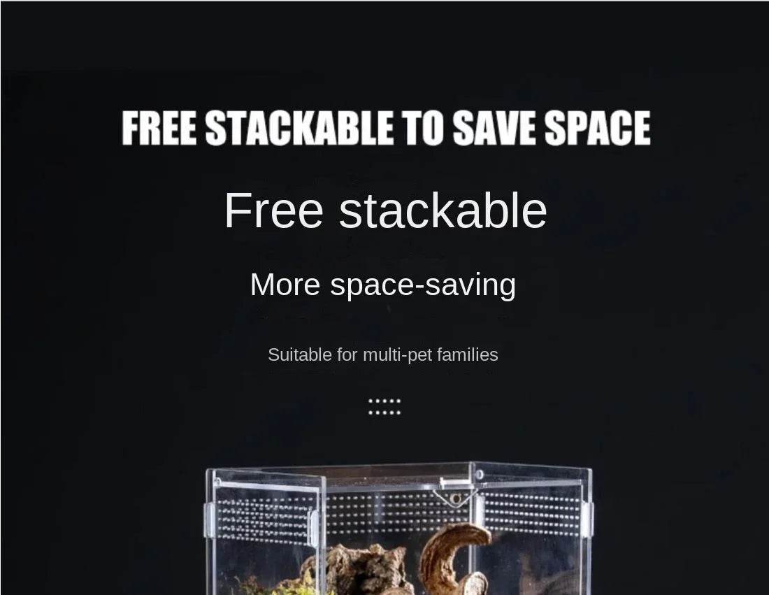 Boîte d'élevage de Terrarium pour reptiles, boîtier en acrylique, boîtier Nano arboricole pour tarentule, araignée, Scorpion, Dragon barbu - Animaleriex