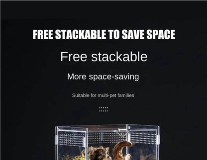 Boîte d'élevage de Terrarium pour reptiles, boîtier en acrylique, boîtier Nano arboricole pour tarentule, araignée, Scorpion, Dragon barbu - Animaleriex