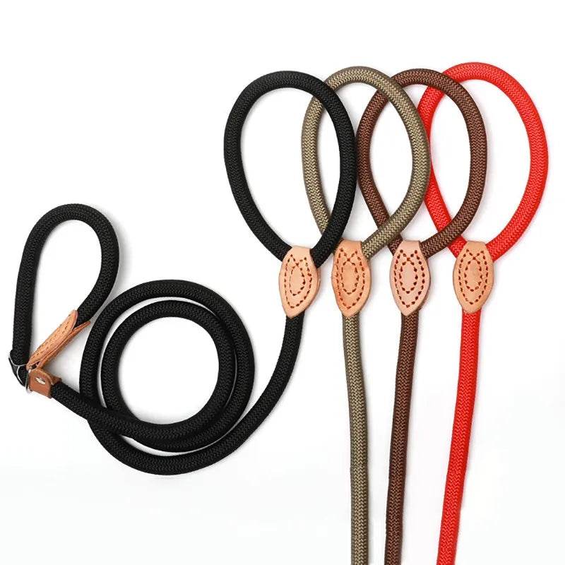 Laisse pour chien, corde coulissante, laisse en plomb, corde tressée robuste, collier à boucle réglable, laisse d'entraînement pour chiens de taille moyenne et grande - Animaleriex