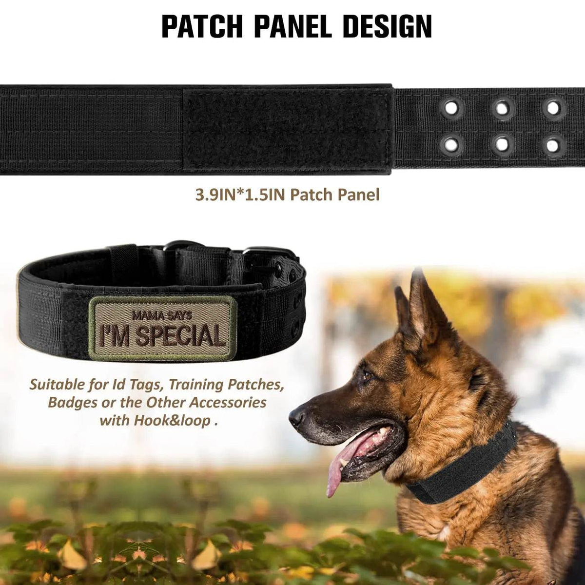 Harnais tactique pour chien, gilet d'entraînement pour animaux de compagnie, harnais militaire pour chien, collier de laisse pour petits, moyens et grands chiens, marche et chasse - Animaleriex