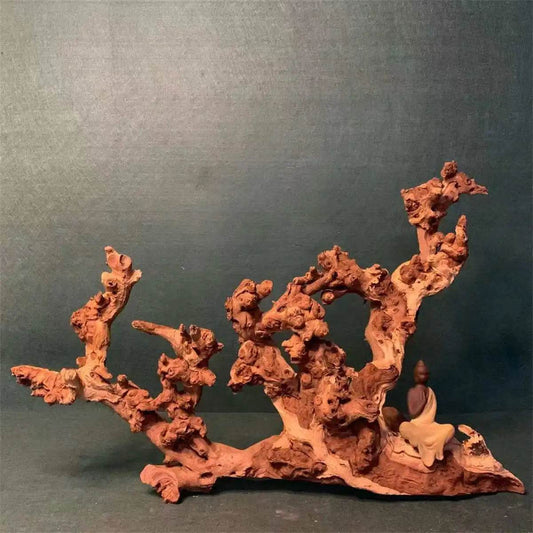Bois flotté de corail naturel grand bois flotté bois flotté de corail naturel ornements d'aquarium bois d'aquarium grand bois d'aquarium naturel - Animaleriex