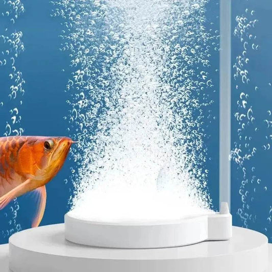 Aérateur d'oxygène en pierre à Air pour Aquarium, diffuseur de bulles, pompe à bulles d'air, plaque d'oxygène hydroponique, Mini accessoires Nano disque - Animaleriex