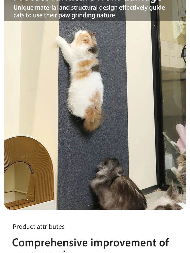 Tapis à gratter autocollant pour chat – Protégez vos meubles et murs des rayures avec cette solution facile à utiliser. - Animaleriex