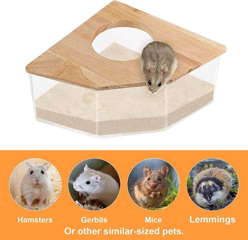 Hamster salle de bain maison bac à sable entièrement Transparent Urine sable bassin ours doré fournitures sable bain conteneur petite salle de bain pour animaux de compagnie - Animaleriex